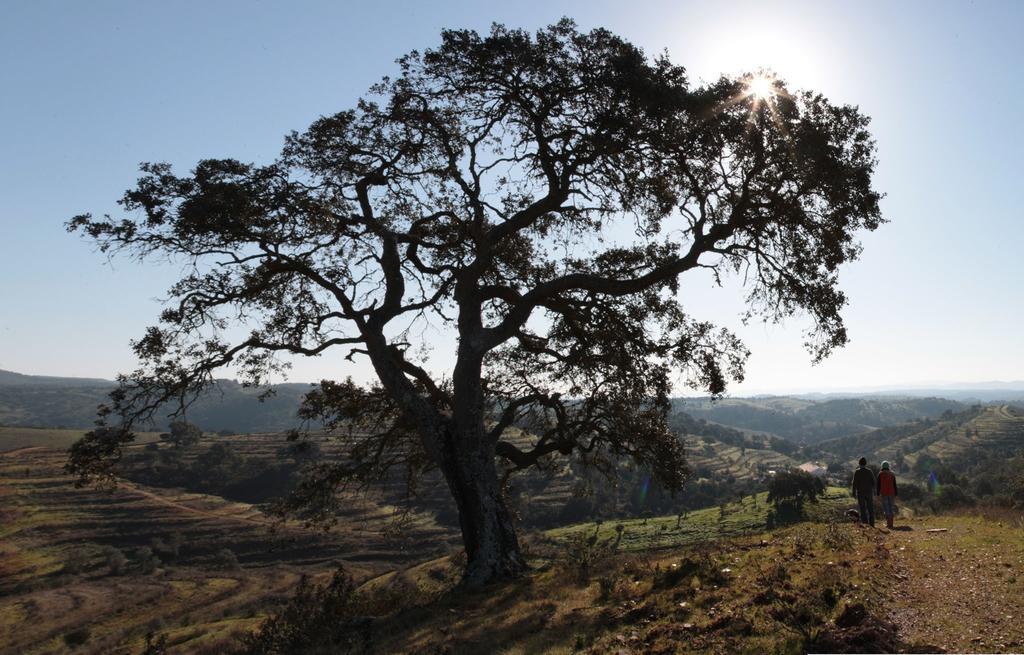 Quinta Do Chocalhinho Agroturismo & Spa Pensionat Odemira Eksteriør billede