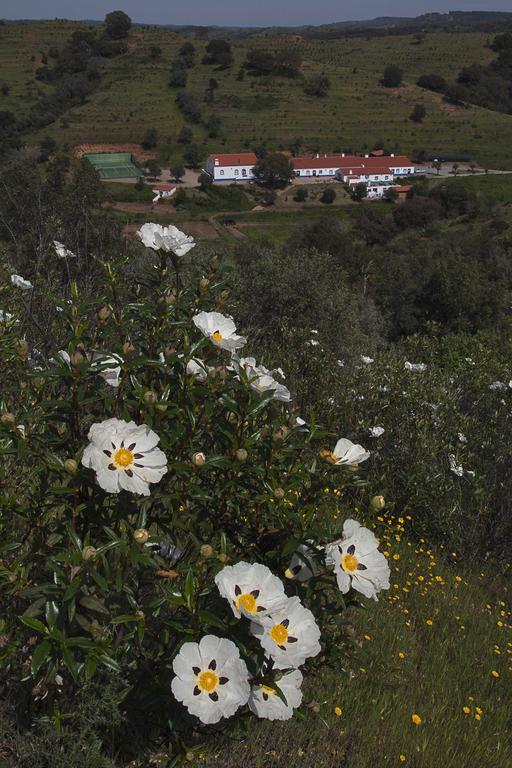 Quinta Do Chocalhinho Agroturismo & Spa Pensionat Odemira Eksteriør billede